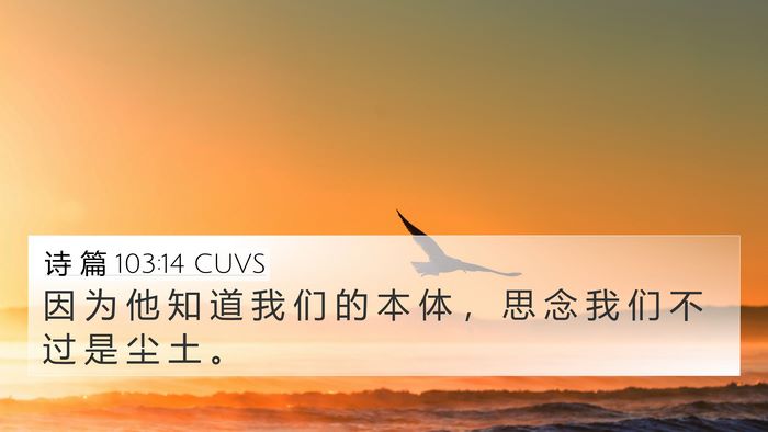 诗 篇 103:14 CUVS 4K Wallpaper - 因 为 他 知 道 我 们 的 本 体 ， 思 - 4K Wallpaper Bible Verse