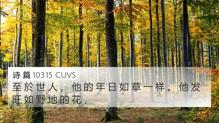 诗 篇 103:15 CUVS Bible Verse Image
