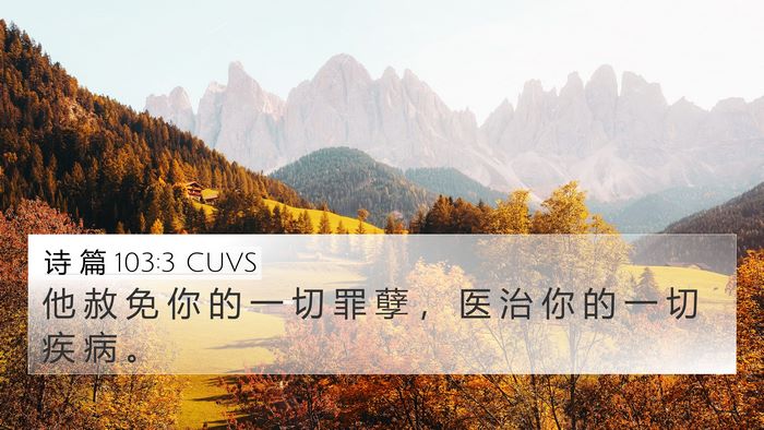 诗 篇 103:3 CUVS Bible Verse Image