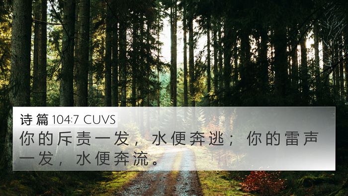 诗 篇 104:7 CUVS Bible Verse Image
