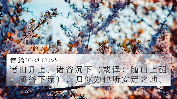 诗 篇 104:8 CUVS Bible Verse Image