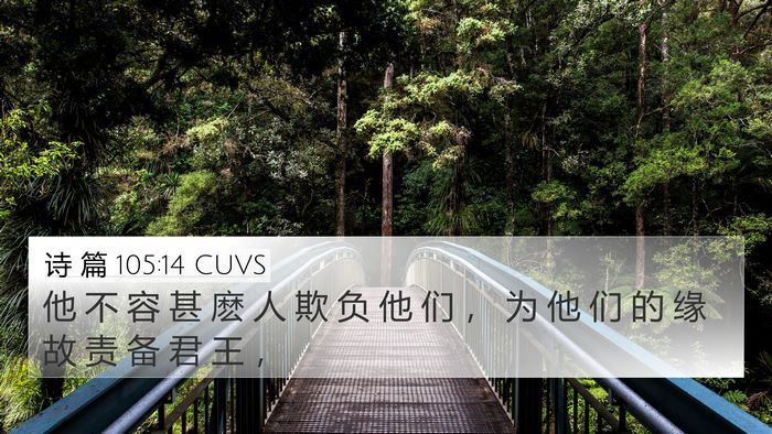 诗 篇 105:14 CUVS Bible Verse Image