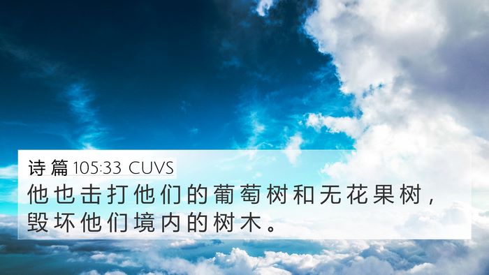 诗 篇 105:33 CUVS Bible Verse Image