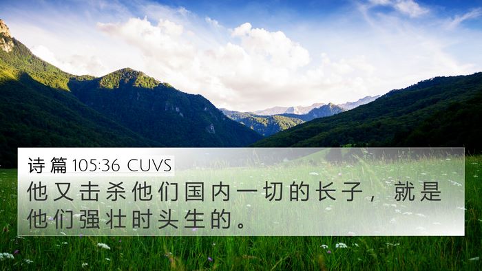 诗 篇 105:36 CUVS Bible Verse Image