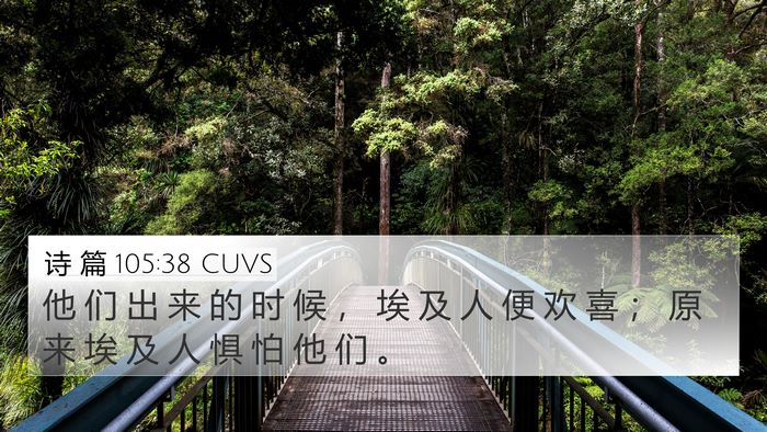 诗 篇 105:38 CUVS Bible Verse Image