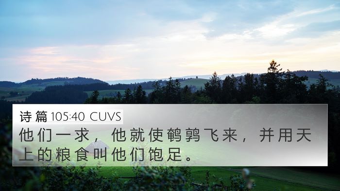 诗 篇 105:40 CUVS Bible Verse Image