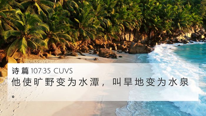 诗 篇 107:35 CUVS Bible Verse Image