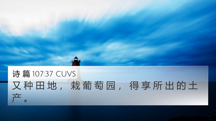 诗 篇 107:37 CUVS Bible Verse Image