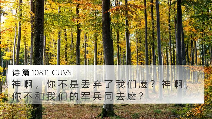 诗 篇 108:11 CUVS Bible Verse Image