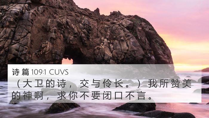 诗 篇 109:1 CUVS Bible Verse Image