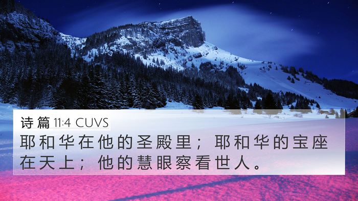 诗 篇 11:4 CUVS Bible Verse Image
