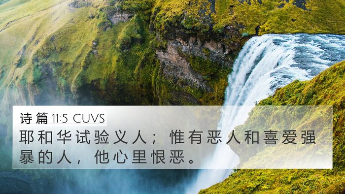 诗 篇 11:5 CUVS Bible Verse Image