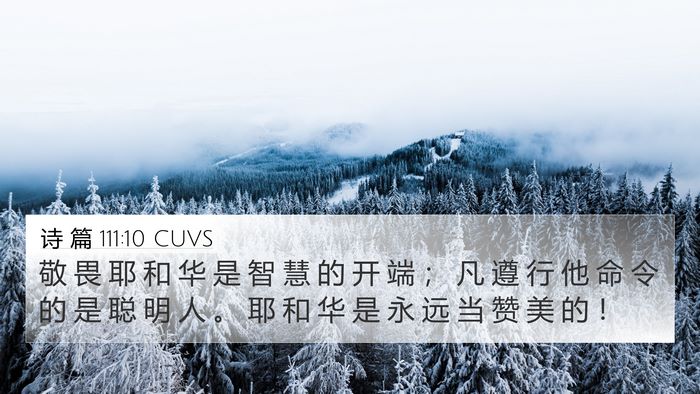 诗 篇 111:10 CUVS Bible Verse Image