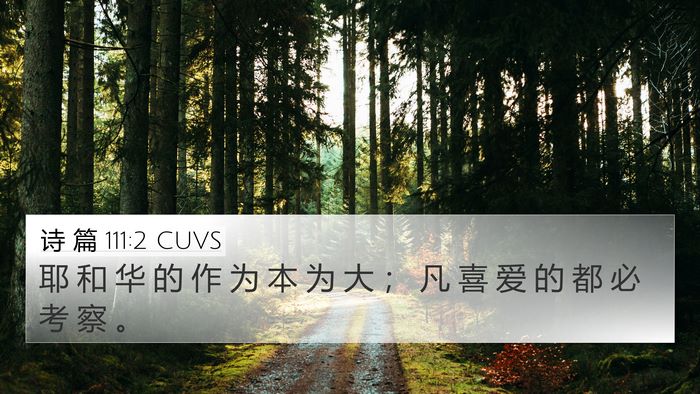 诗 篇 111:2 CUVS Bible Verse Image