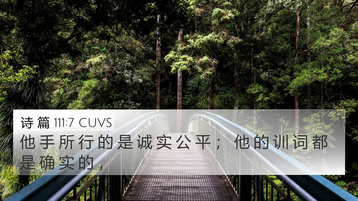 诗 篇 111:7 CUVS Bible Verse Image