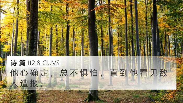 诗 篇 112:8 CUVS Bible Verse Image