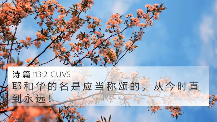 诗 篇 113:2 CUVS Bible Verse Image