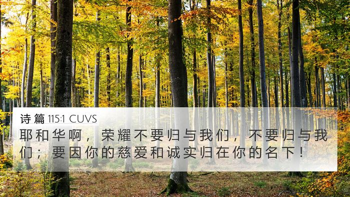 诗 篇 115:1 CUVS Bible Verse Image