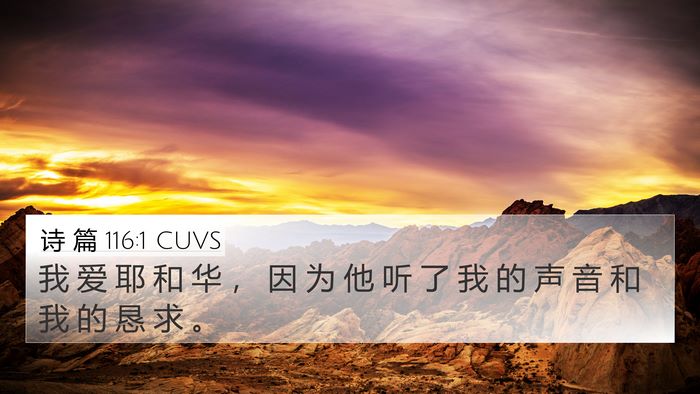诗 篇 116:1 CUVS 4K Wallpaper - 我 爱 耶 和 华 ， 因 为 他 听 了 我 - 4K Wallpaper Bible Verse