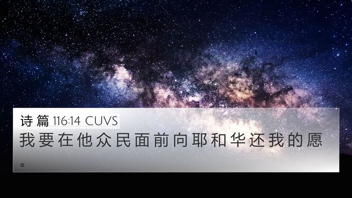 诗 篇 116:14 CUVS Bible Verse Image