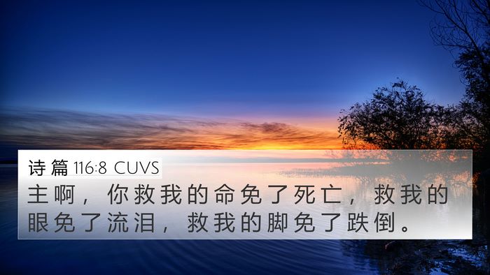 诗 篇 116:8 CUVS Bible Verse Image