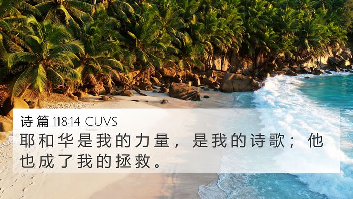 诗 篇 118:14 CUVS Bible Verse Image