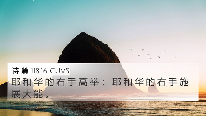 诗 篇 118:16 CUVS Bible Verse Image