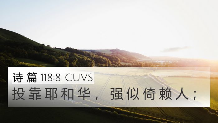 诗 篇 118:8 CUVS Bible Verse Image