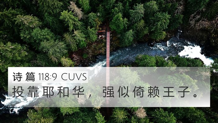诗 篇 118:9 CUVS 4K Wallpaper - 投 靠 耶 和 华 ， 强 似 倚 赖 王 子 - 4K Wallpaper Bible Verse