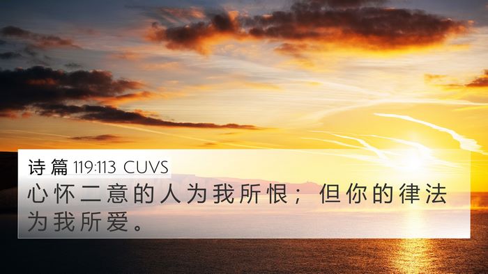诗 篇 119:113 CUVS 4K Wallpaper - 心 怀 二 意 的 人 为 我 所 恨 ； 但 - 4K Wallpaper Bible Verse