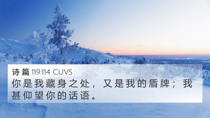 诗 篇 119:114 CUVS Bible Verse Image