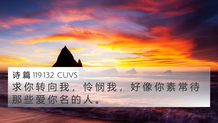 诗 篇 119:132 CUVS Bible Verse Image