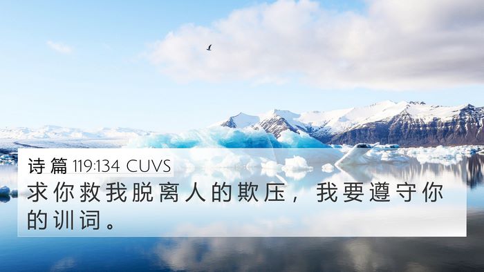 诗 篇 119:134 CUVS Bible Verse Image