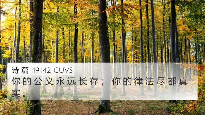 诗 篇 119:142 CUVS Bible Verse Image