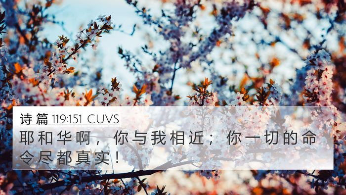 诗 篇 119:151 CUVS Bible Verse Image