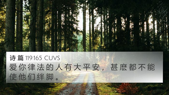 诗 篇 119:165 CUVS Bible Verse Image