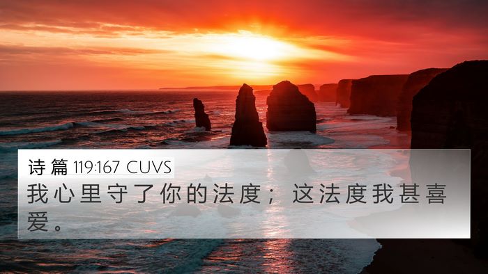 诗 篇 119:167 CUVS Bible Verse Image
