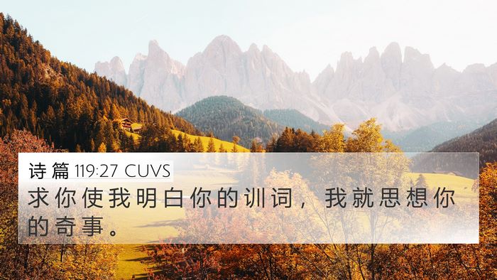 诗 篇 119:27 CUVS Bible Verse Image