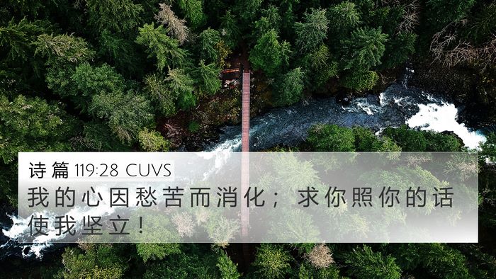 诗 篇 119:28 CUVS Bible Verse Image