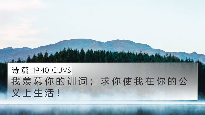 诗 篇 119:40 CUVS Bible Verse Image