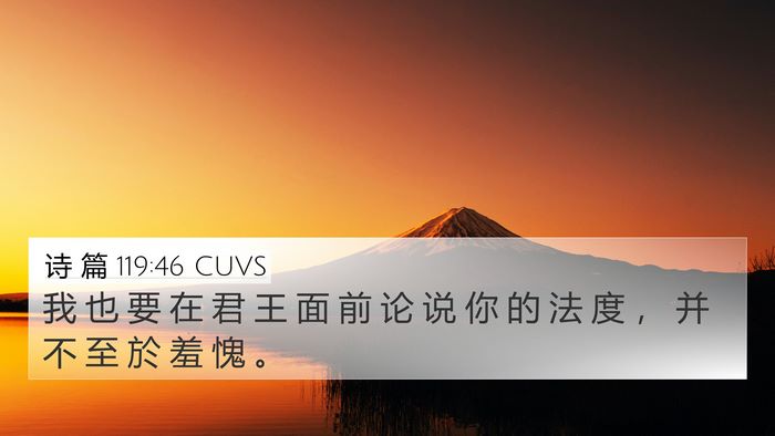 诗 篇 119:46 CUVS Bible Verse Image