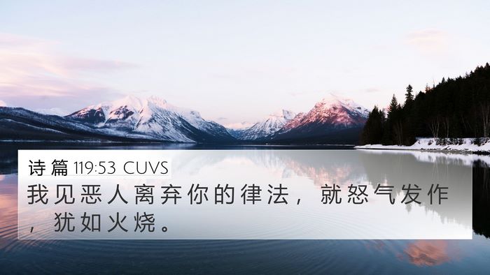 诗 篇 119:53 CUVS Bible Verse Image