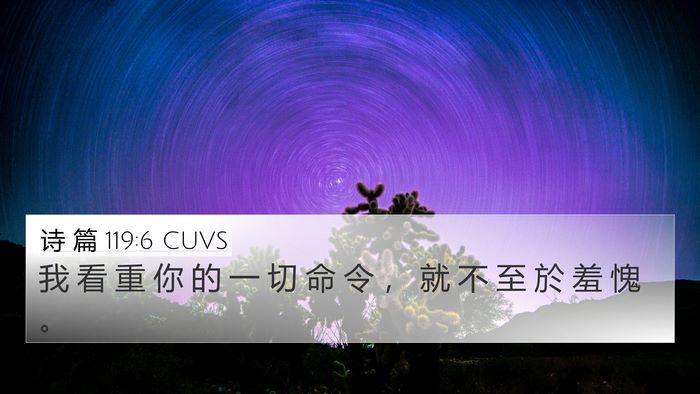 诗 篇 119:6 CUVS Bible Verse Image