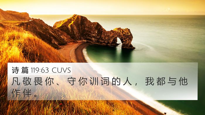 诗 篇 119:63 CUVS Bible Verse Image
