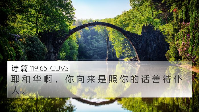 诗 篇 119:65 CUVS 4K Wallpaper - 耶 和 华 啊 ， 你 向 来 是 照 你 的 - 4K Wallpaper Bible Verse