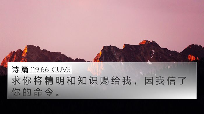 诗 篇 119:66 CUVS Bible Verse Image