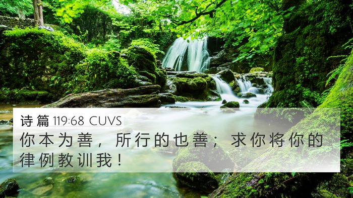 诗 篇 119:68 CUVS Bible Verse Image