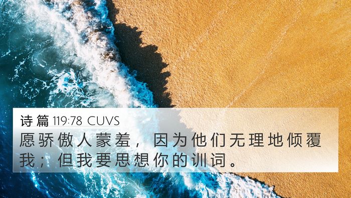 诗 篇 119:78 CUVS Bible Verse Image
