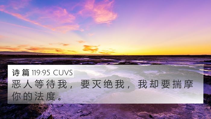 诗 篇 119:95 CUVS Bible Verse Image
