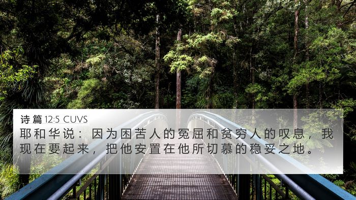 诗 篇 12:5 CUVS Bible Verse Image